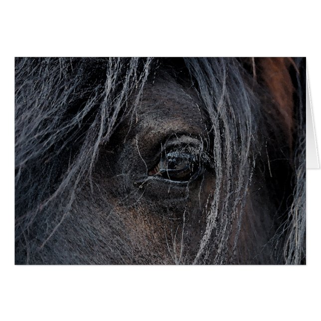 Gypsy Vision II (Front Horizontal)