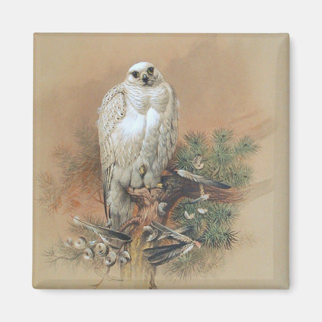 Gyrfalcon - 1861 magnet (Front)