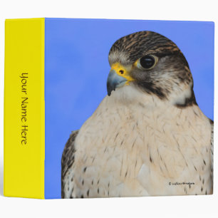 Gyrfalcon Saker Hybrid Falcon Binder