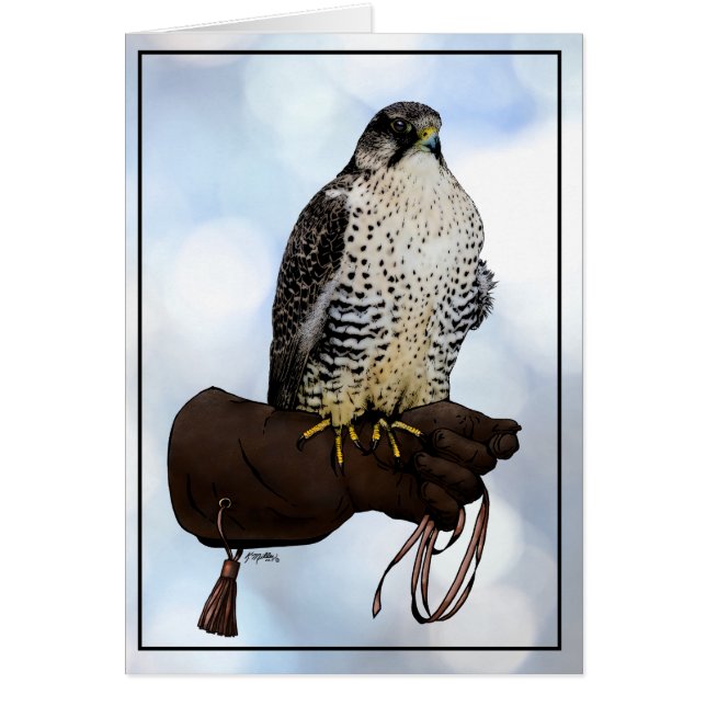 Gyrfalcon sur Glove (Devant)