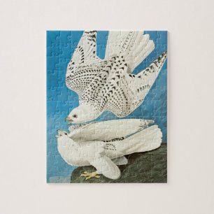 Gyrfalcons, aka Gerfalcons by John James Audubon Jigsaw Puzzle