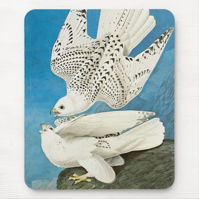 Gyrfalcons, aka Gerfalcons by John James Audubon Mouse Pad (Front)