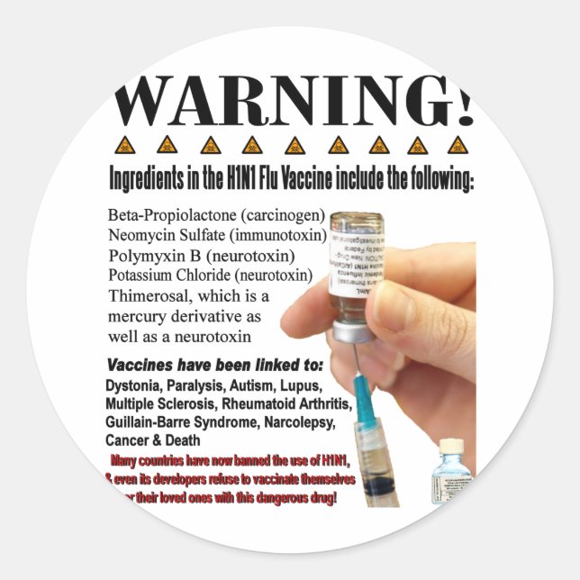 H1N1 Dangers Classic Round Sticker (Front)