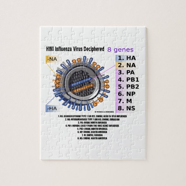 H1N1 Influenza Virus Deciphered (Health) Jigsaw Puzzle (Vertical)