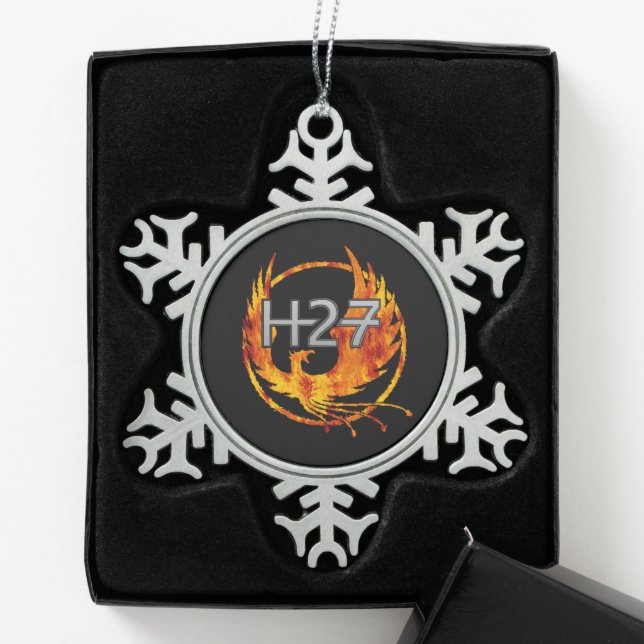 H27 Ornement de Noël (Boîte)