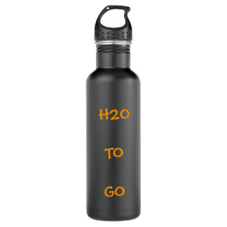 H2O TO GO 710 ML WATER BOTTLE