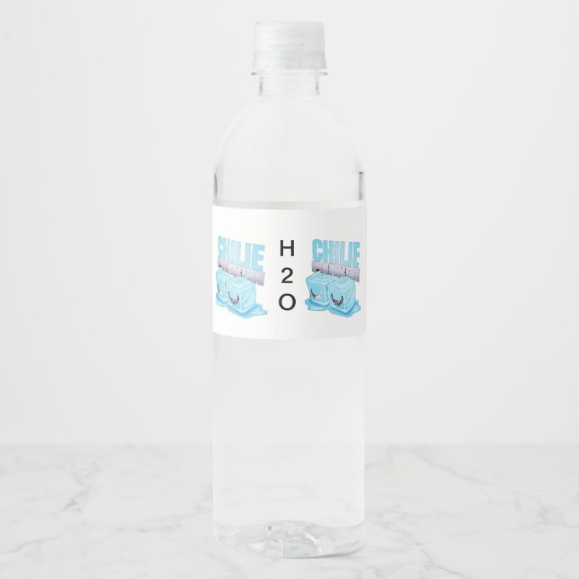 H2O WATER BOTTLE LABEL (Front)