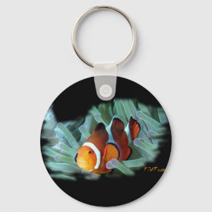 H2Oasis Clownfish Keychain