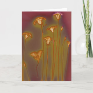 H.A.S. Carte de voeux d'arts, détail de lac