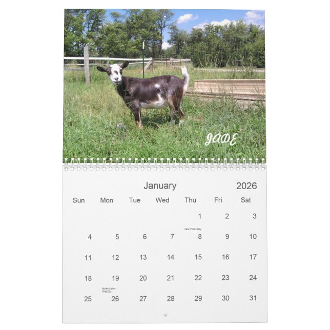 H.H. Garden Goats 2010 Calendar (Jan 2026)
