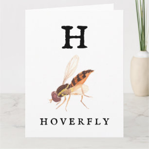 "H" Hoverfly Folded Greeting Card