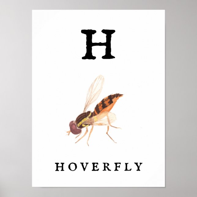 "H" Hoverfly Print, Value Poster Paper (Matte) (Front)