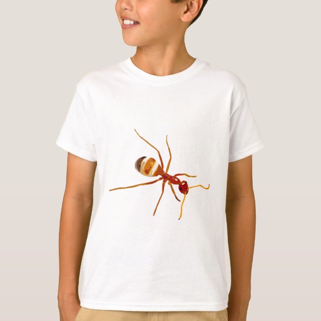 H is for Honey Pot Ant T-Shirt (Front)