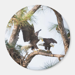 H & M Magnet