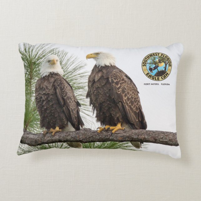 H&O Accent Pillow (Back)