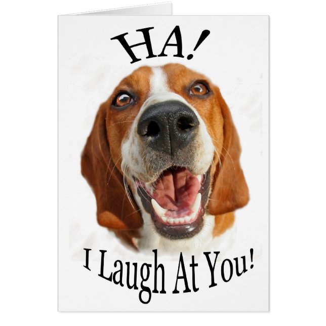 HA! I Laugh At You (Front)
