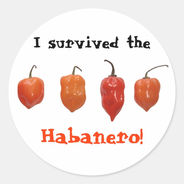 Habanero Peppers Classic Round Sticker (Front)