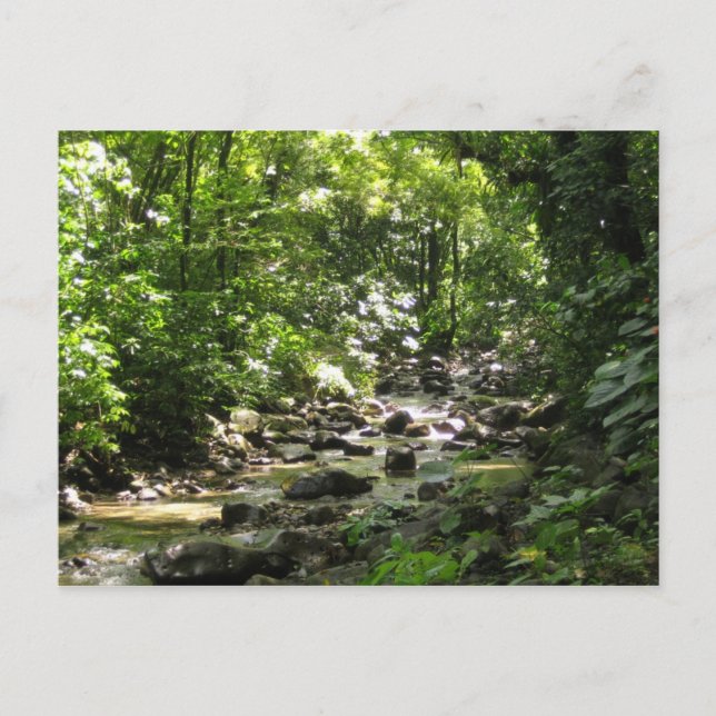 Habitation Céron 1 - Martinique, F.W.I. Postcard (Front)