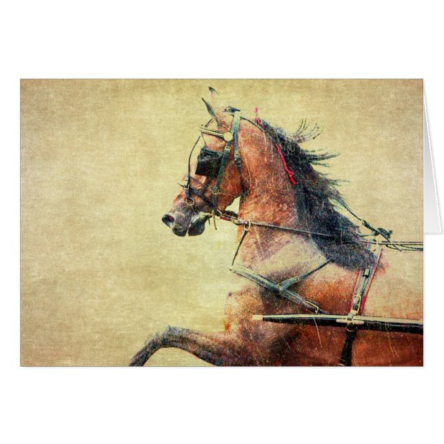 Hackney Pony Blank Inside Greeting Card (Front Horizontal)