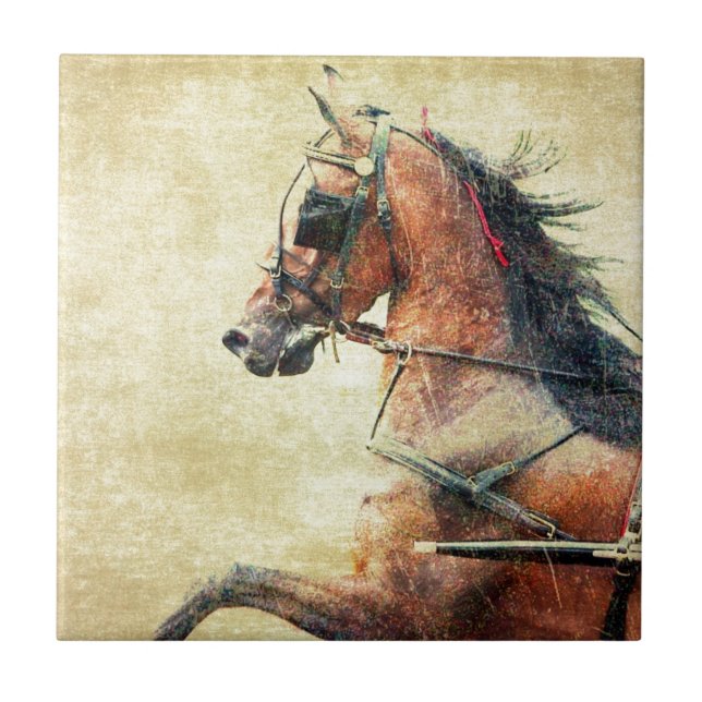 Hackney Pony Tile (Front)