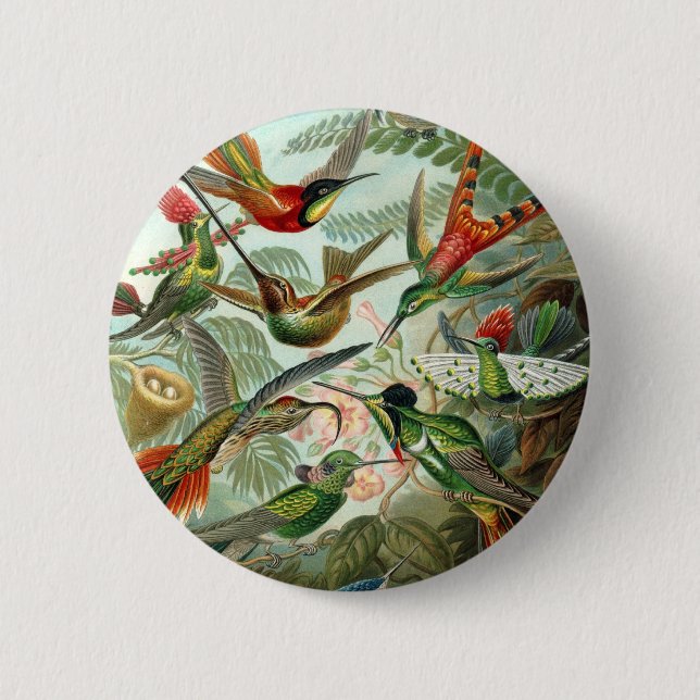 Haeckel 2 Inch Round Button (Front)