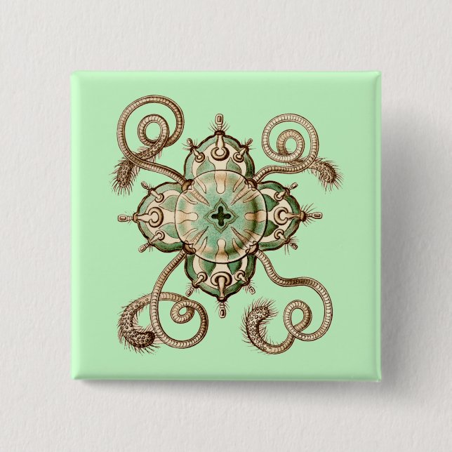 Haeckel 2 Inch Square Button (Front)