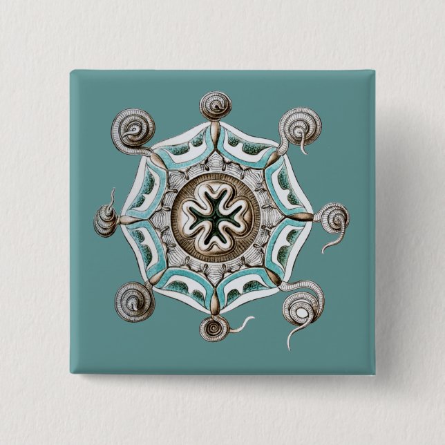 Haeckel 2 Inch Square Button (Front)