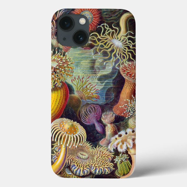 Haeckel Actiniae Vintage Print Case-Mate iPhone Case (Back)