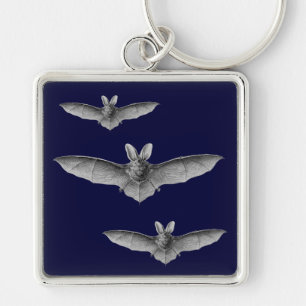 Haeckel Bat Keychain