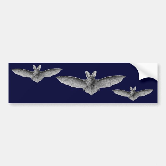Haeckel Bats Bumper Sticker (Front)