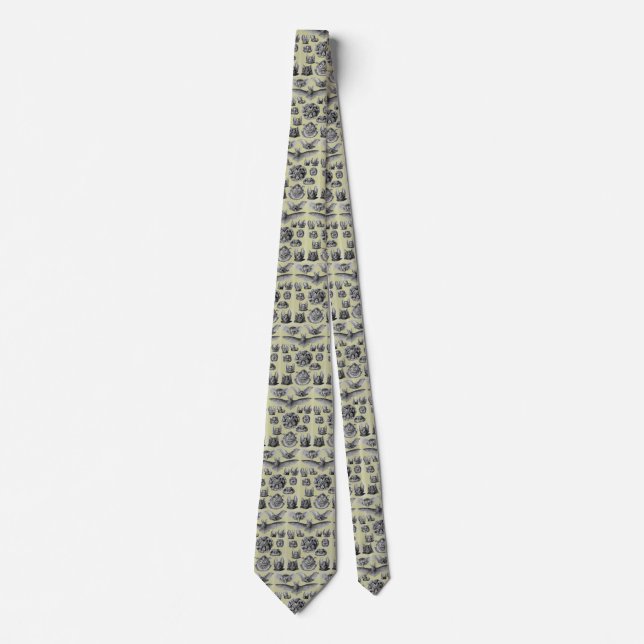 Haeckel Bats Tie (Front)