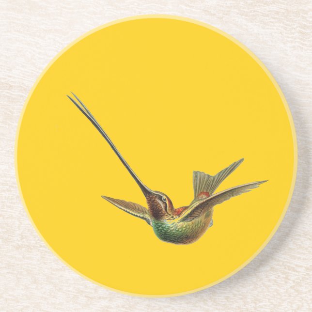 Haeckel Bird Coaster (Front)