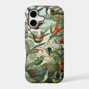 Haeckel Birds