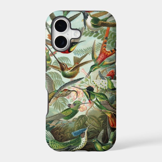 Haeckel Birds (Back)