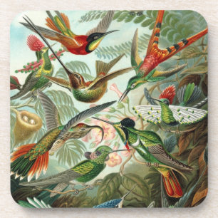Haeckel Birds Coaster
