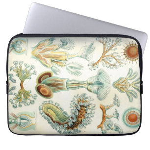 Haeckel Bryozoa Laptop Sleeve