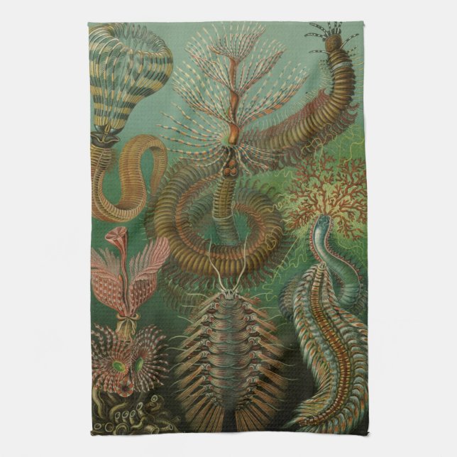 Haeckel Bugs Kitchen Towel (Vertical)