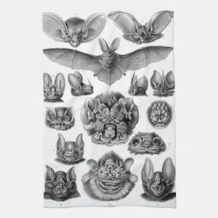 Haeckel Chiroptera Kitchen Towel
