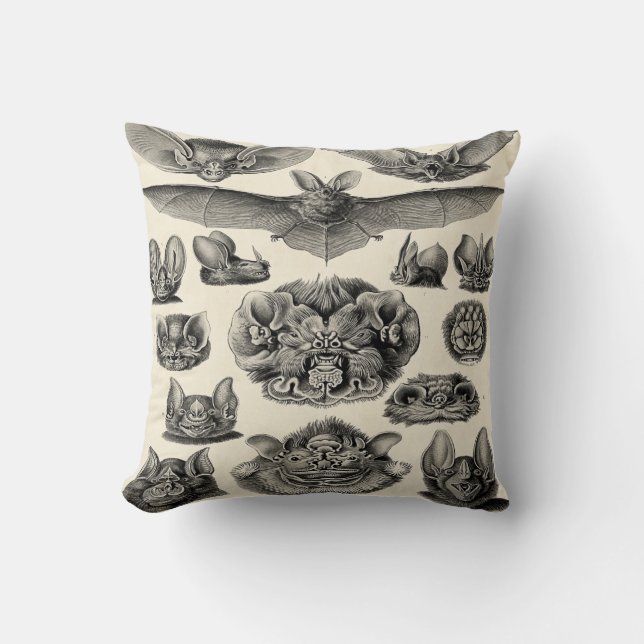 Haeckel Chiroptera Throw Pillow (Front)