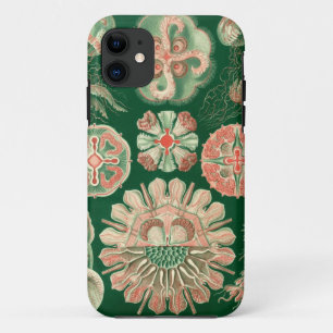 Haeckel Discomedusae iPhone 11 Case