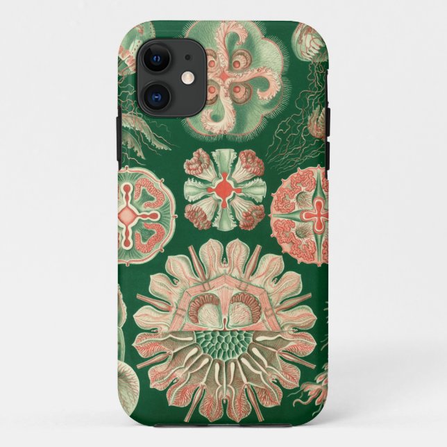 Haeckel Discomedusae Case-Mate iPhone Case (Back)