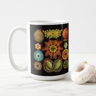 Haeckel Echinoderm large mug