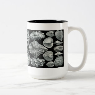 Haeckel écosse la tasse