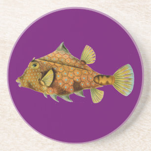 Haeckel Fish Coaster