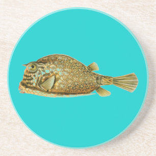 Haeckel Fish Coaster