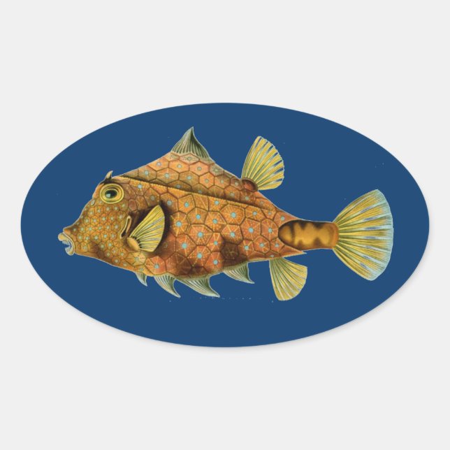 Haeckel Fish Oval Sticker (Front)