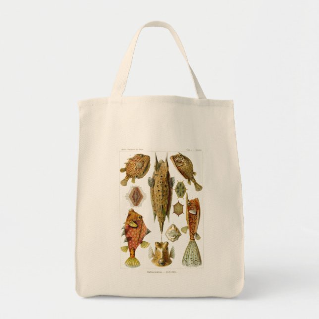 Haeckel Fish Tote Bag (Front)