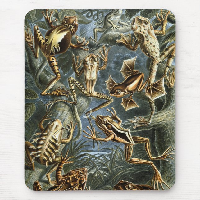 Haeckel Frogs Mouse Pad (Front)