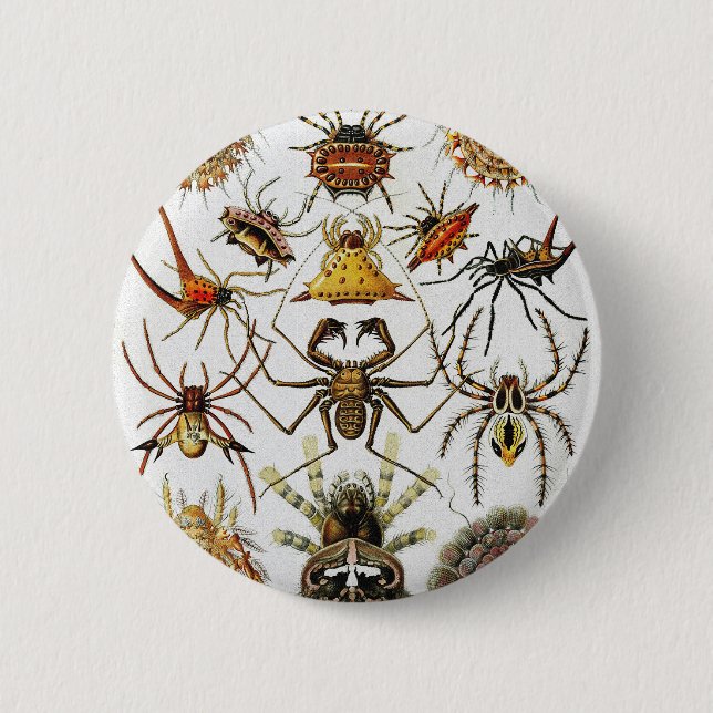  Haeckel Golden Spiders plate 66 2 Inch Round Button (Front)