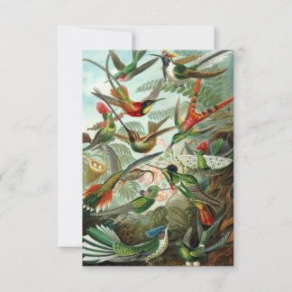 Haeckel Hummingbirds all-occasion greeting card